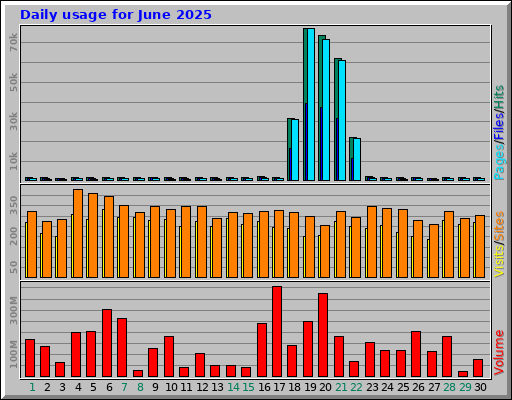 Daily usage for June 2025