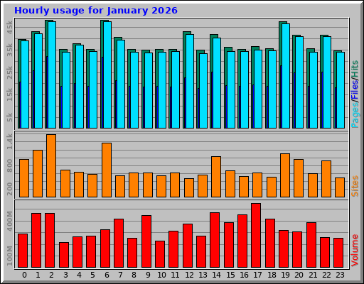 Hourly usage for January 2026